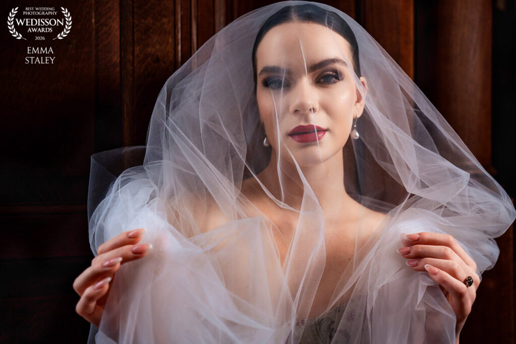 bridal portrait with veil award winning image