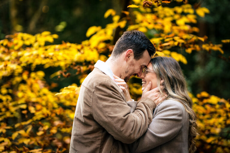 Forehead to forehead among yellow leaves