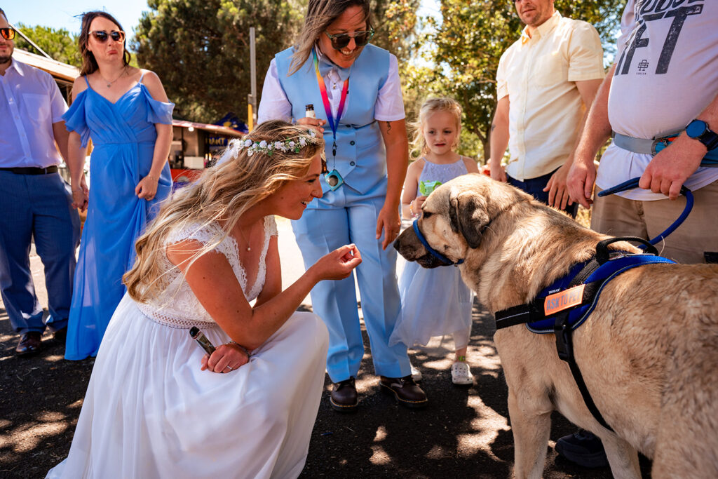 Guests cheering the brides